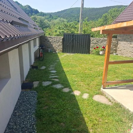 Casa Noua Vila Sasca Montană Exterior foto