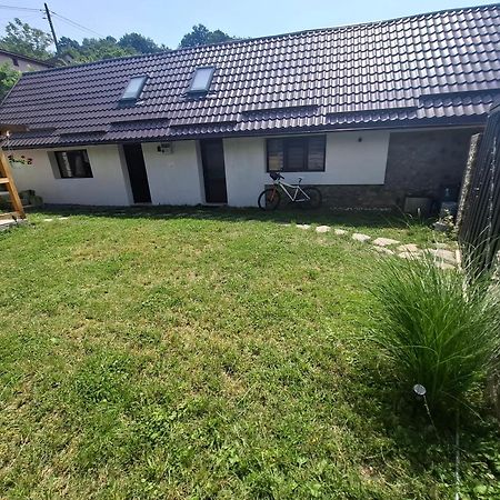 Casa Noua Vila Sasca Montană Exterior foto