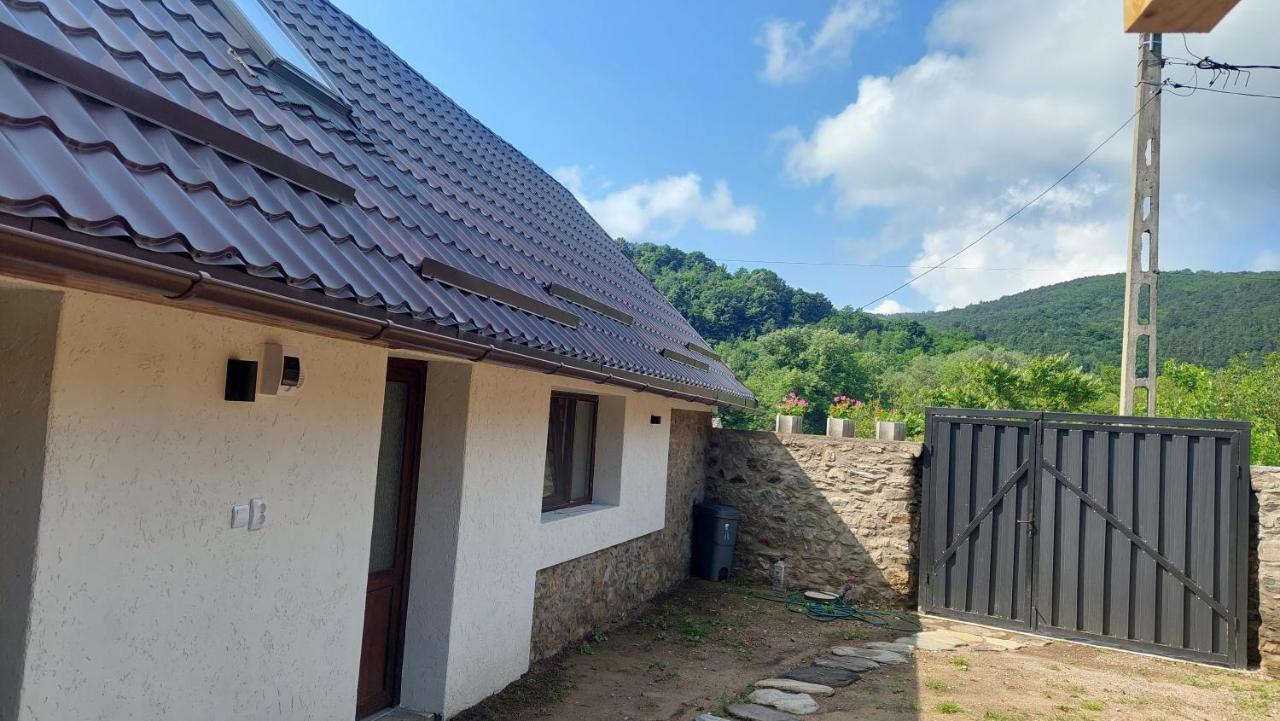 Casa Noua Vila Sasca Montană Exterior foto