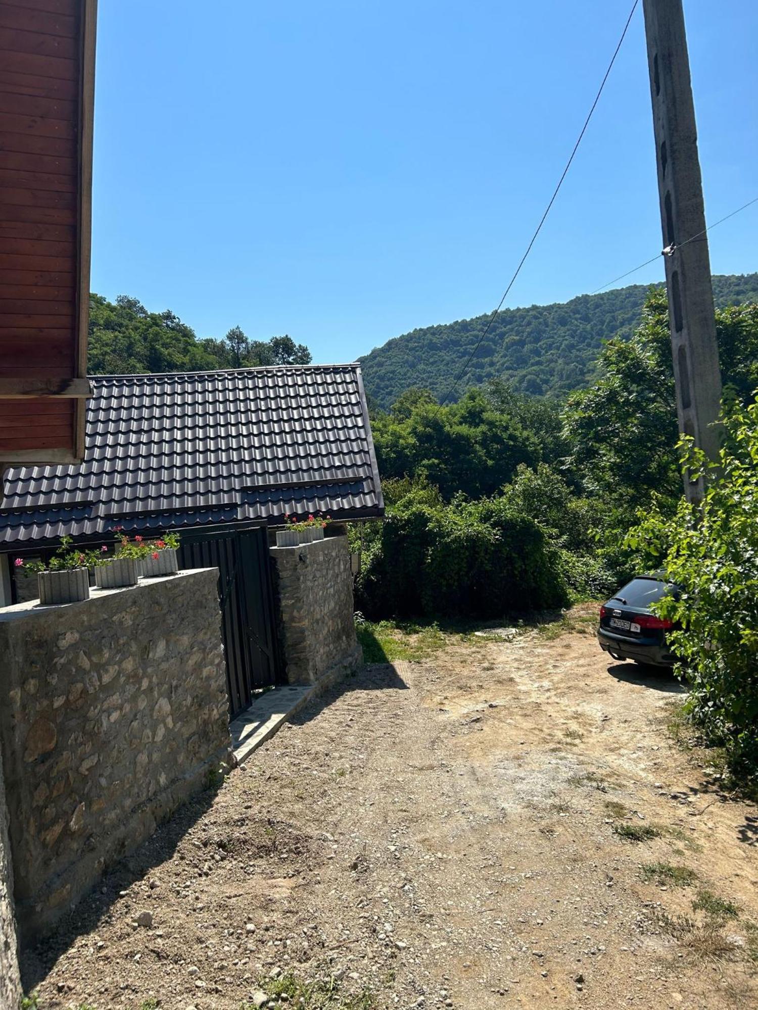 Casa Noua Vila Sasca Montană Exterior foto