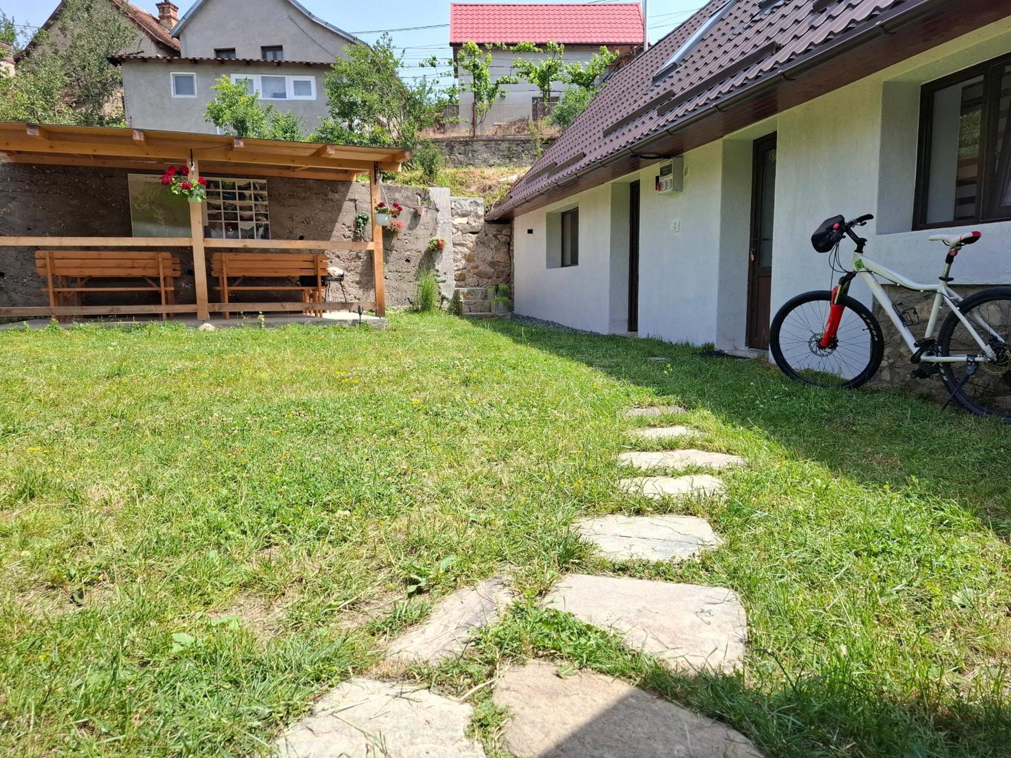 Casa Noua Vila Sasca Montană Exterior foto